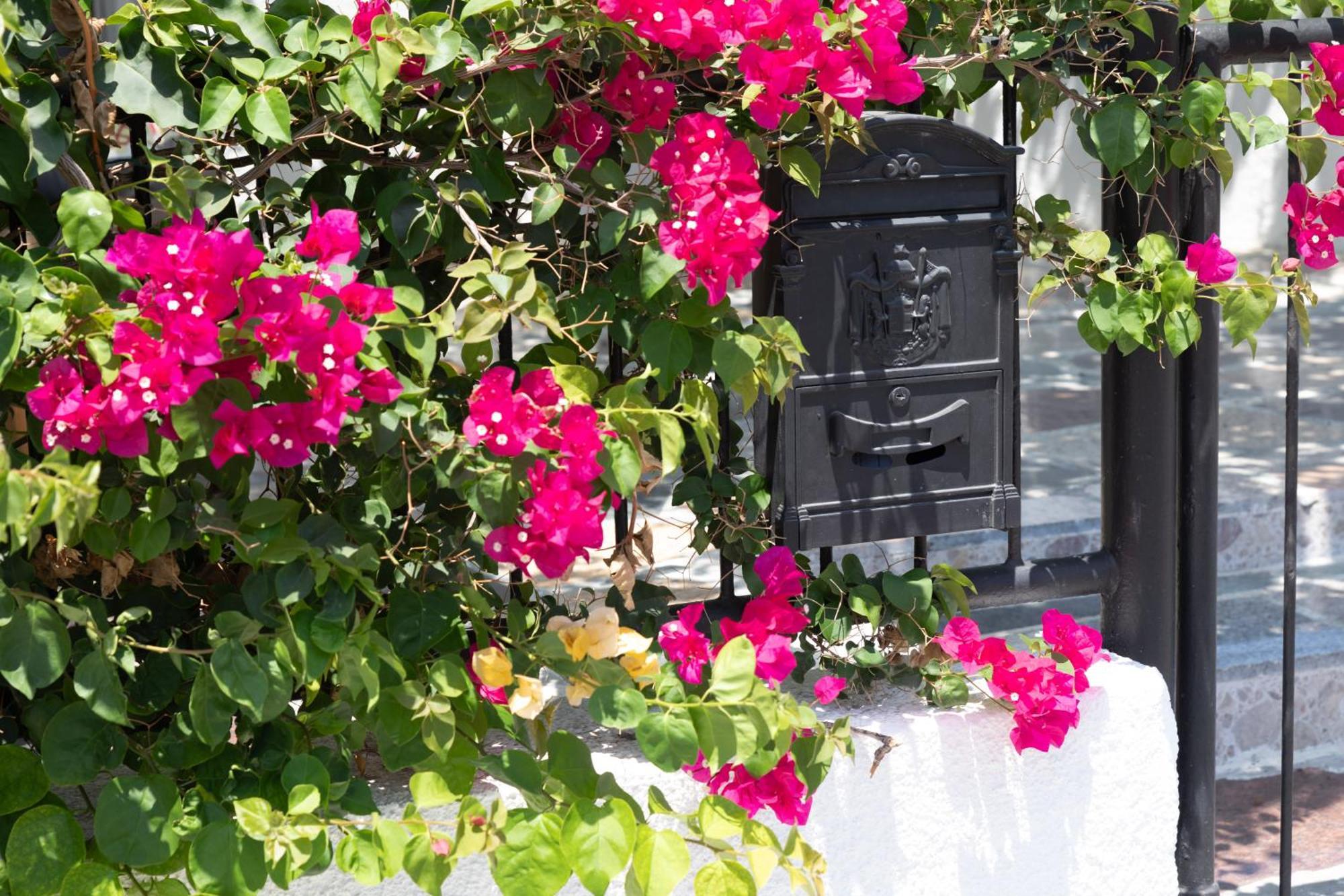 Limassol Akrotiri Beach Vine Cottage A Екстер'єр фото